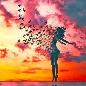 Meet your Posher, Sunny